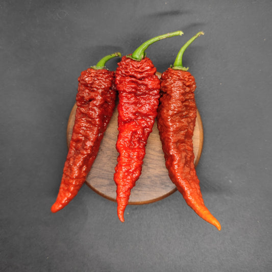 Three Leviathan Scorpion Chocolate peppers from PepperMerchant.net are displayed side by side on a small, round wooden board against a plain black background.
