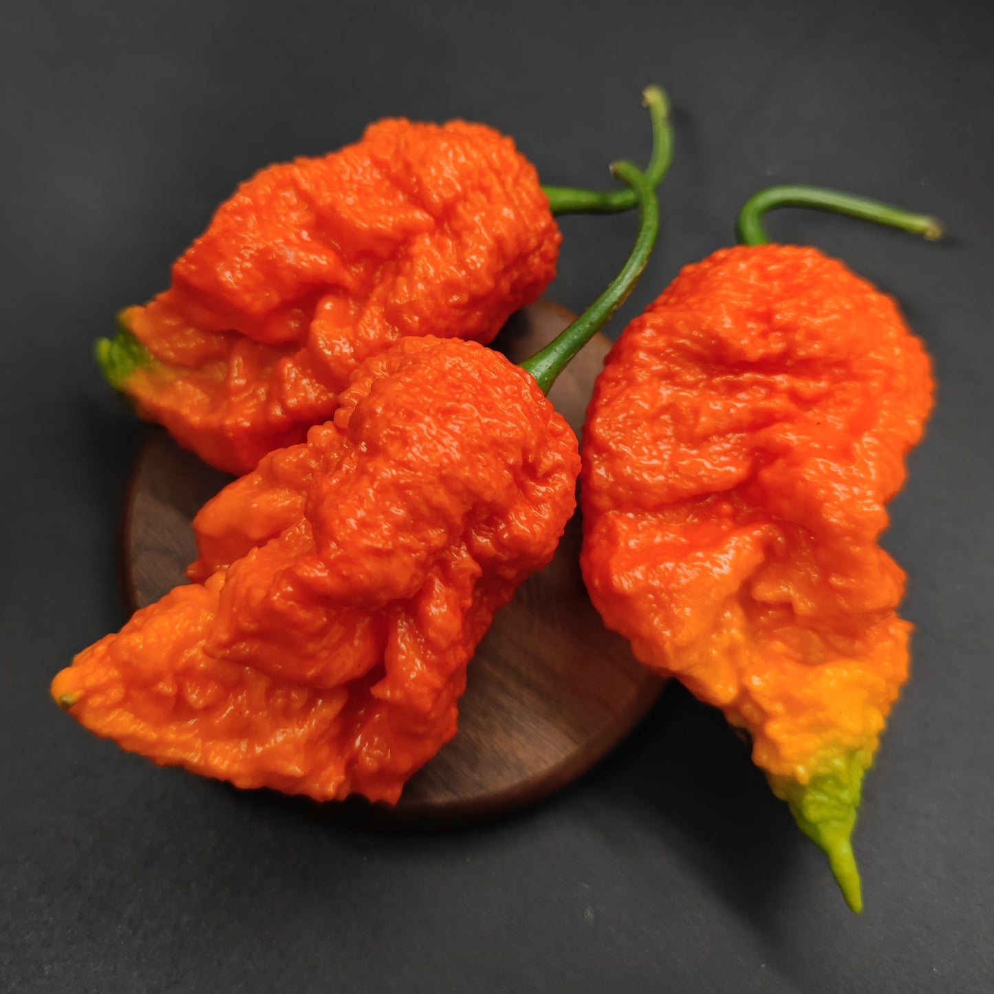 Pêche Miasme Orange