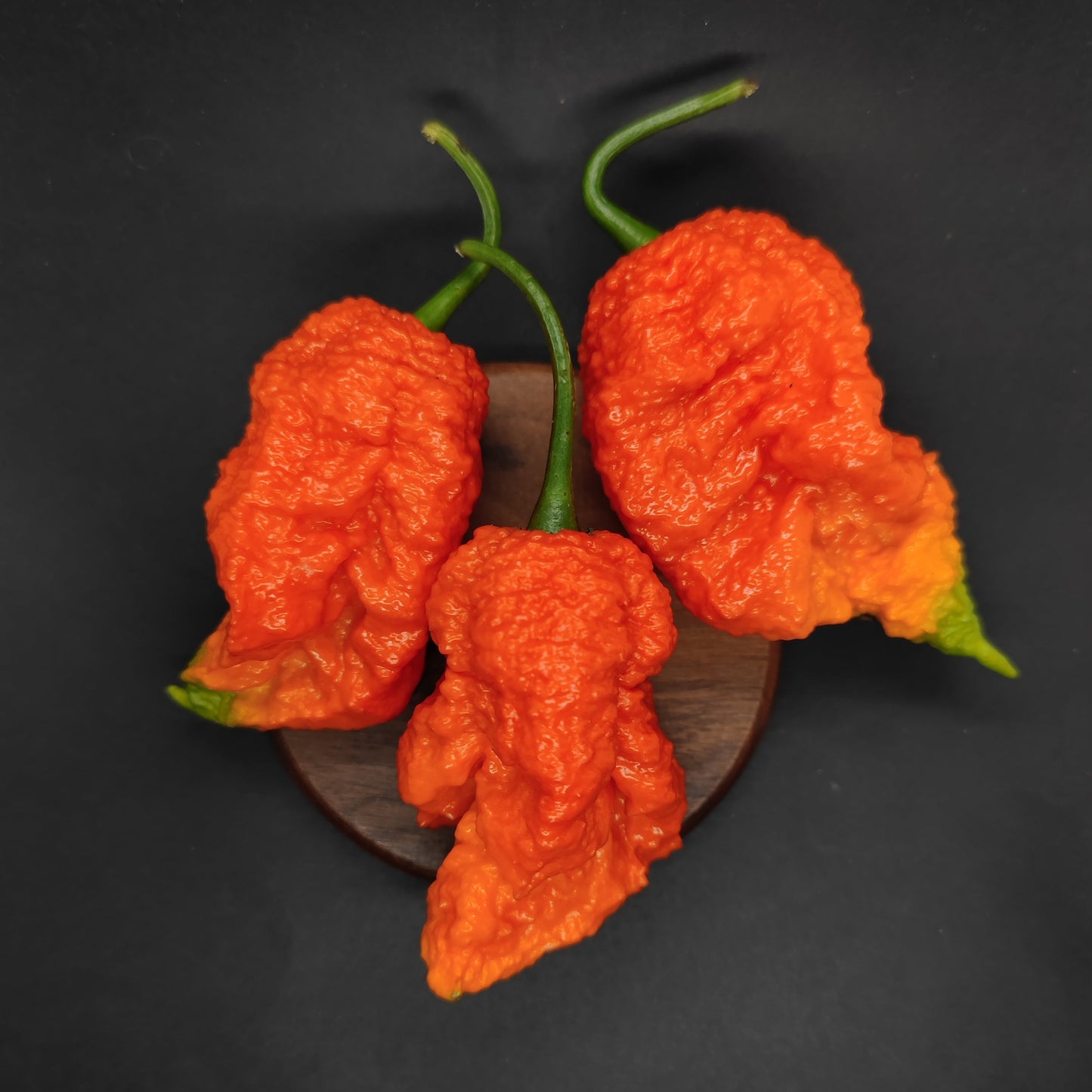 Pêche Miasme Orange