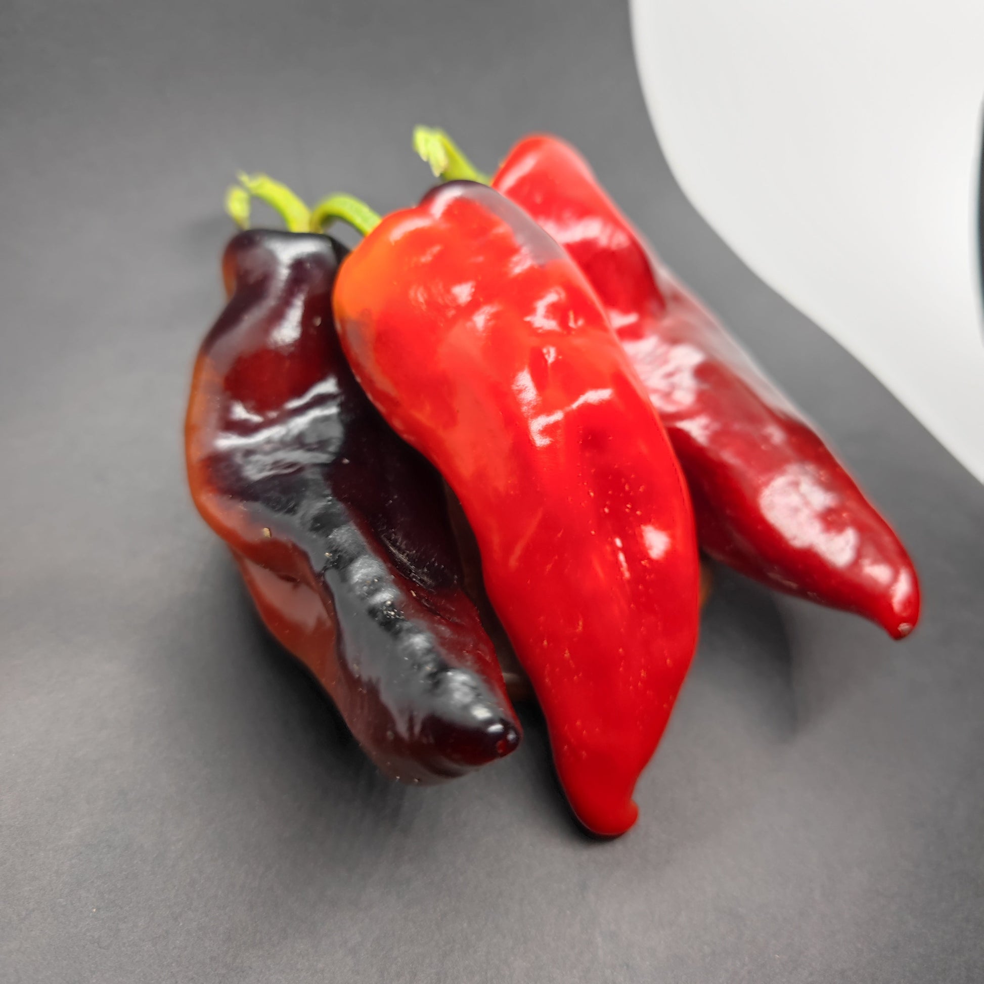 Three long, glossy Asgard Cross peppers from PepperMerchant.net—two deep purple and one bright red—are arranged on a dark surface with a white curved background on the right.