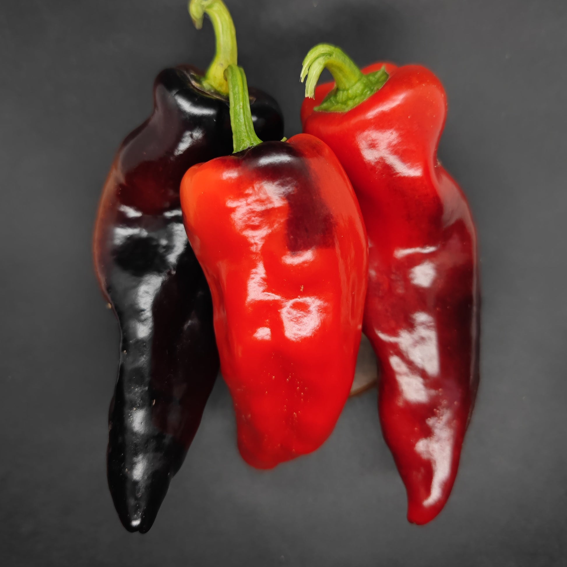 Three large chili peppers, featuring the vibrant Asgard Cross from PepperMerchant.net and a unique hybrid, cluster on a dark background. Their glossy skins reflect light, showing off smooth textures and bold colors.