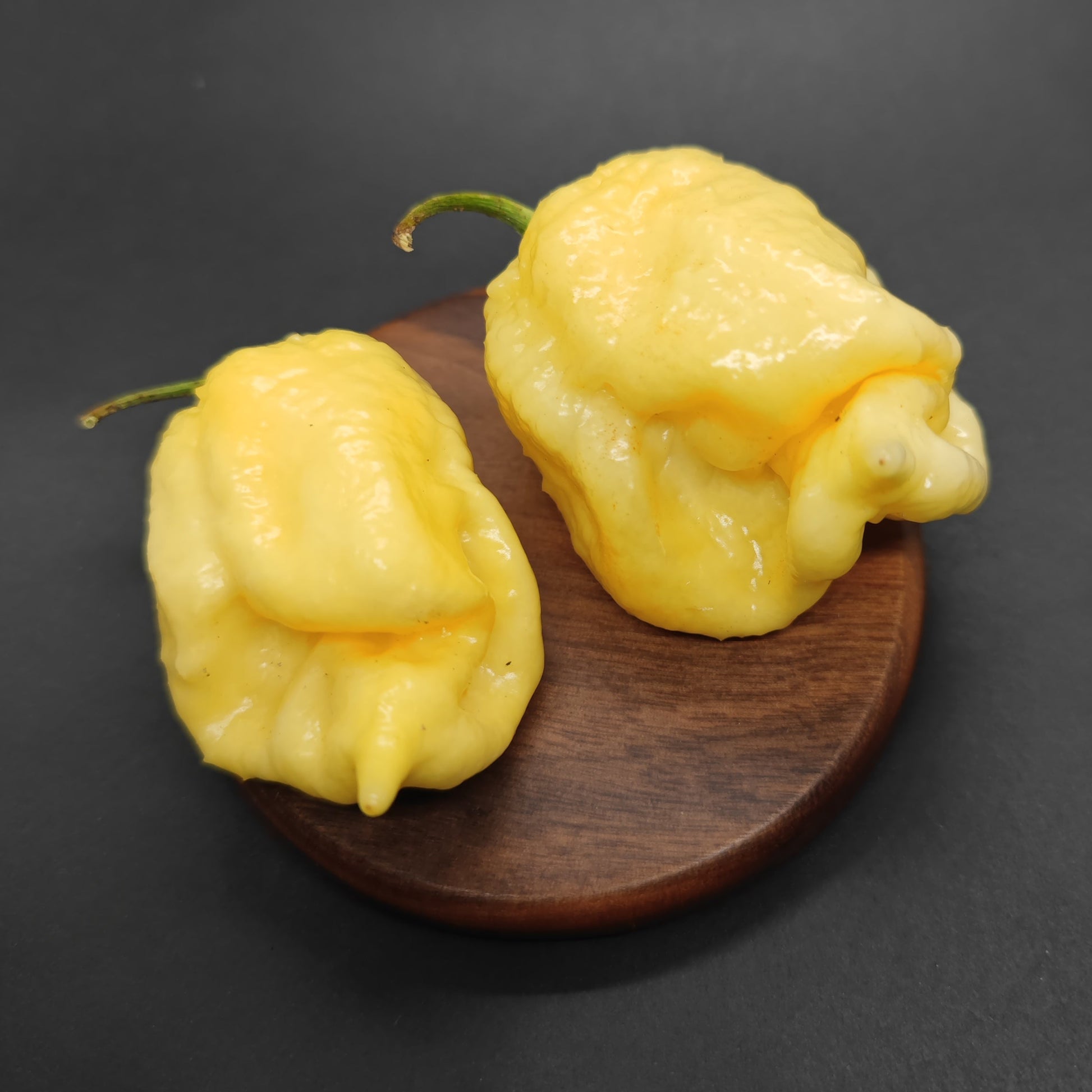 Two yellow, wrinkled chili peppers with green stems sit on a wooden surface against a dark background—inspired by PepperMerchant.net’s White Moruga Scorpion seeds, perfect for growing your own fiery harvest.