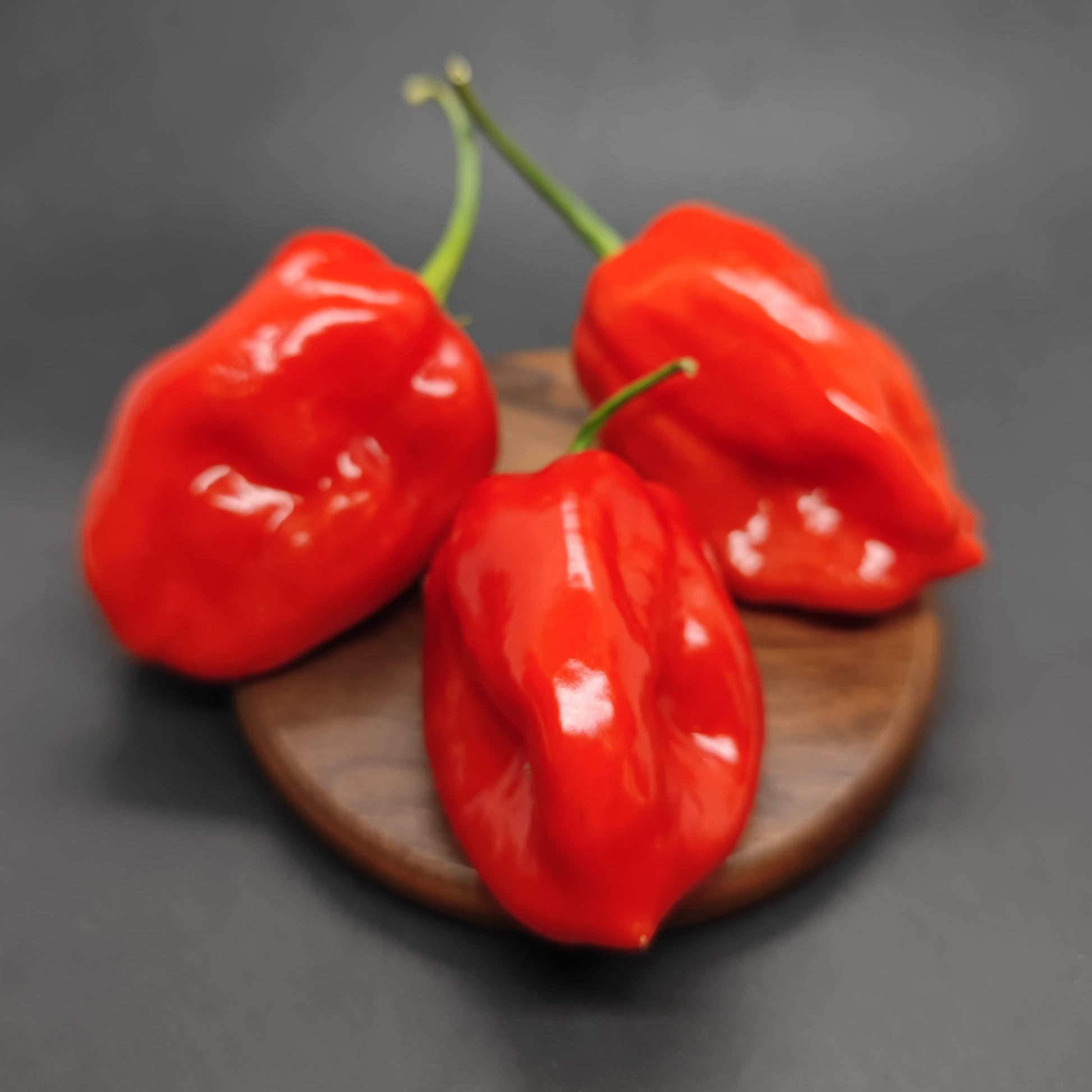 Three vibrant habanero peppers are displayed on a round wooden board, showcasing the colorful Orange, Red, Yellow Mixed Habanero Seeds from PepperMerchant.net, set against a dark gray background.