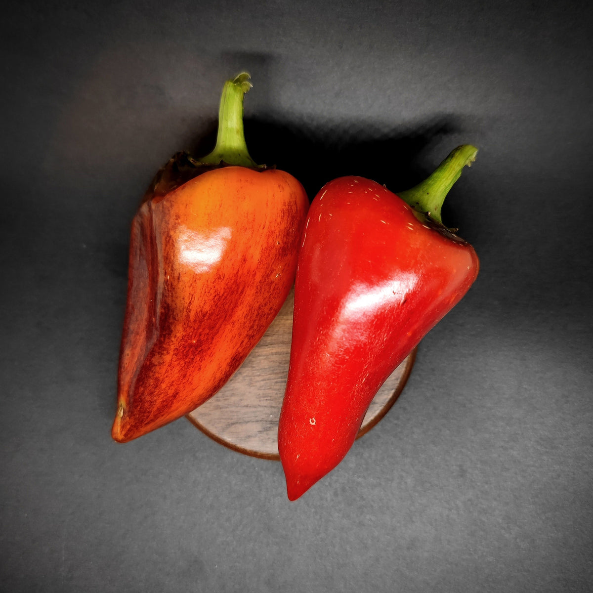Two thick-walled red Violet Sparkle chili peppers, one with dark streaks, resting on a small wooden coaster.