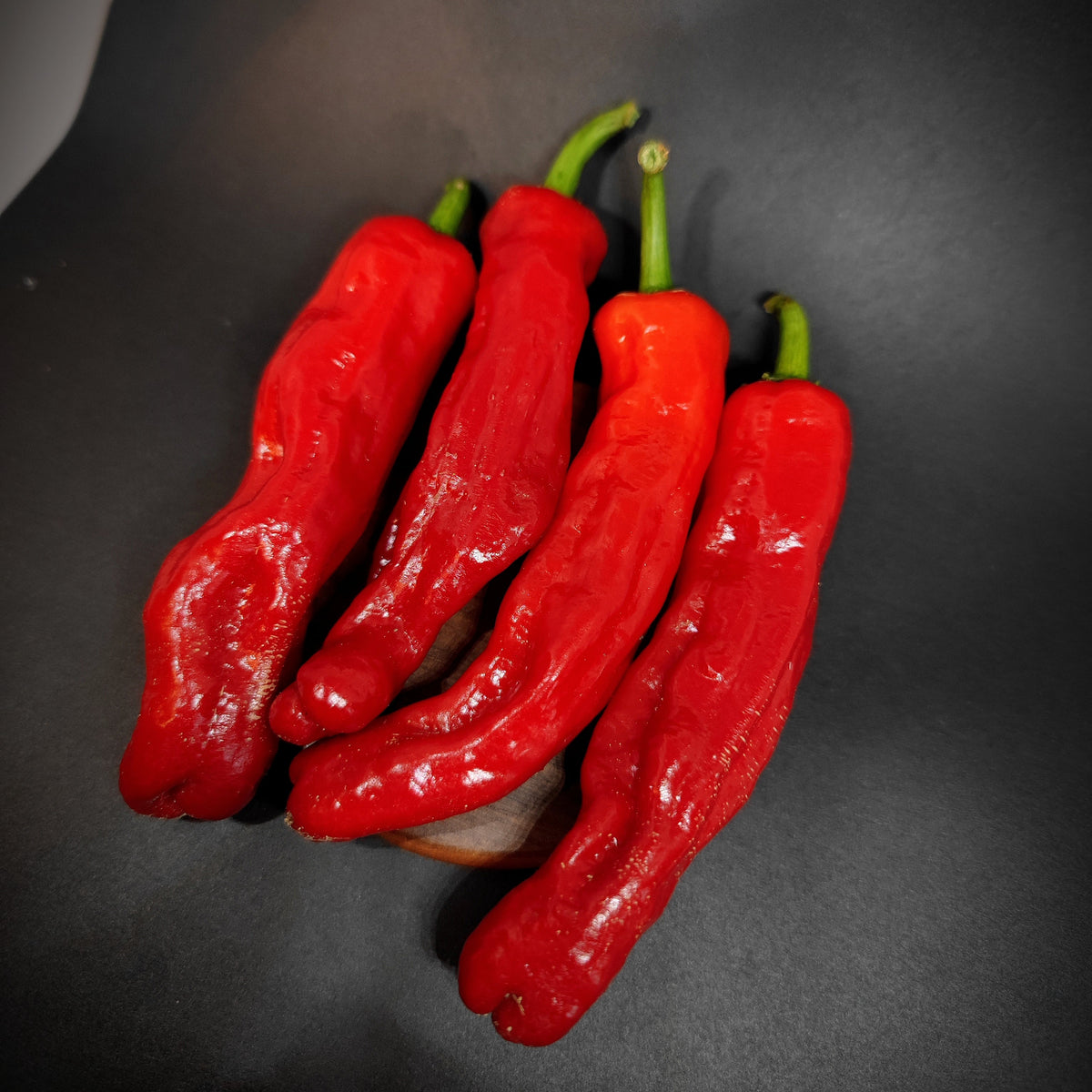 Four long, wrinkled Shishito peppers from PepperMerchant.net, each with a fresh green stem, are arranged diagonally on a dark background; their vibrant red hue is characteristic of this Japanese variety known for its mild heat.