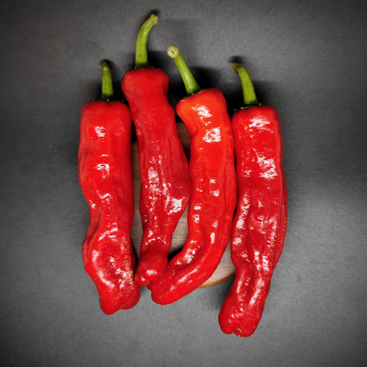 Four glossy shishito peppers from PepperMerchant.net, with vibrant red skins and green stems, are arranged side by side on a dark, matte background. Their slightly wrinkled surfaces and varied curved shapes reflect the distinctive look of this mild Japanese pepper variety.