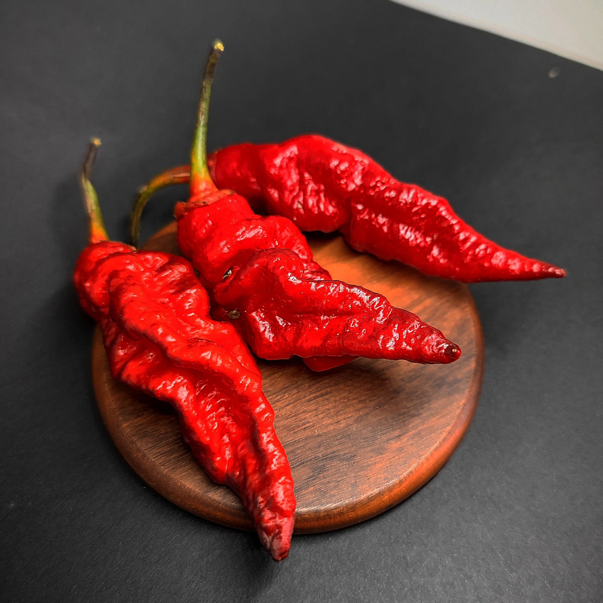 Three bright red, wrinkled BBG7 Nightmare (BBG Dream Cross) chili peppers resting on a small wooden coaster.