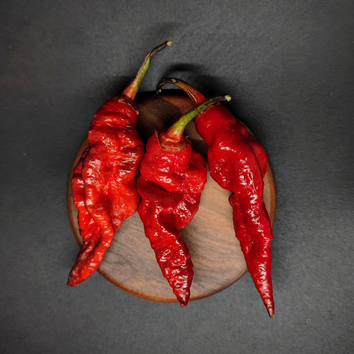 Three wrinkled, vibrant BBG7 Nightmare (BBG Dream Cross) chili peppers with green stems arranged on a small wooden coaster.