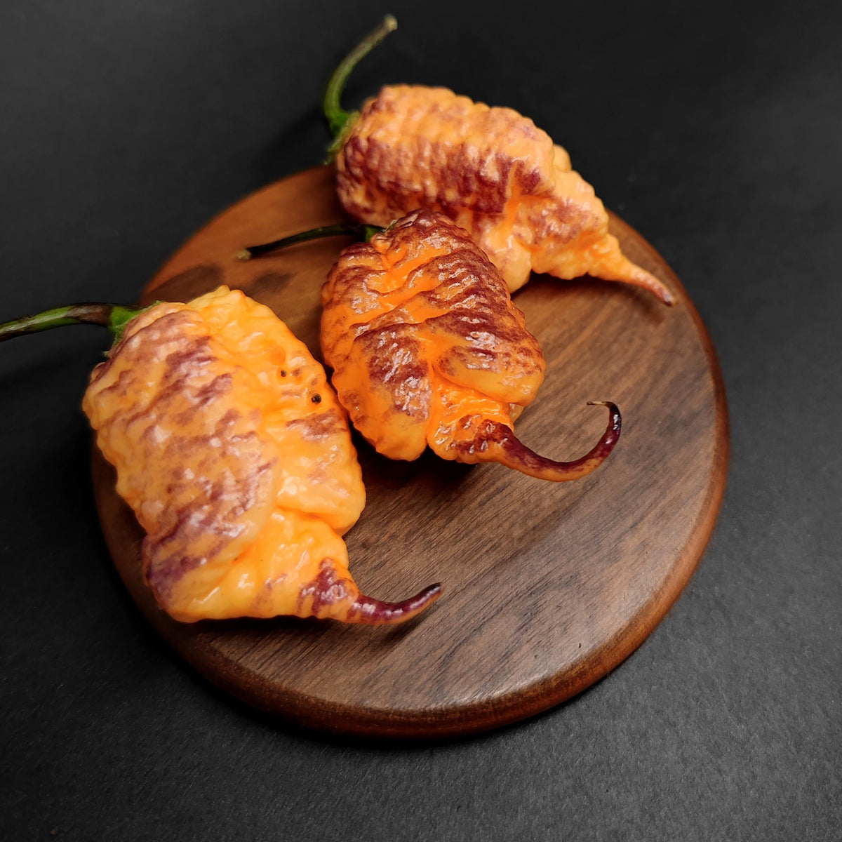 Three wrinkled, yellow-and-purple-streaked Carolina Reaper peppers for Reaper Sbagliato with curled tips rest on a small wooden board.