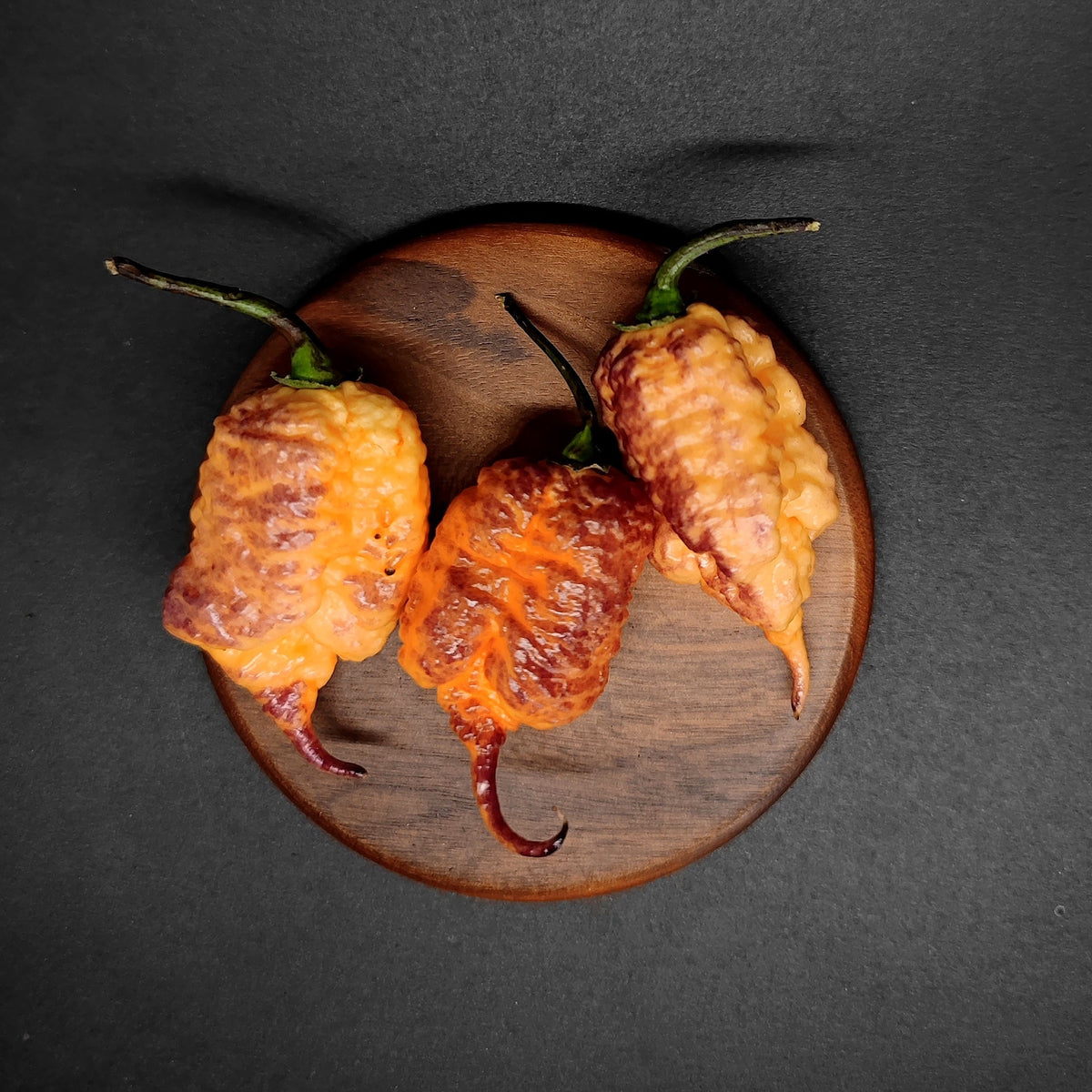 Three wrinkled, orange and brown-streaked Carolina Reaper peppers for Reaper Sbagliato resting on a small wooden disc.