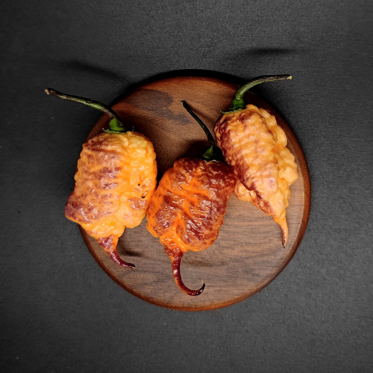 Three textured, orange-and-brown mottled Carolina Reaper peppers with green stems arranged on a circular wooden board, representing the Reaper Sbagliato from PepperMerchant.net.