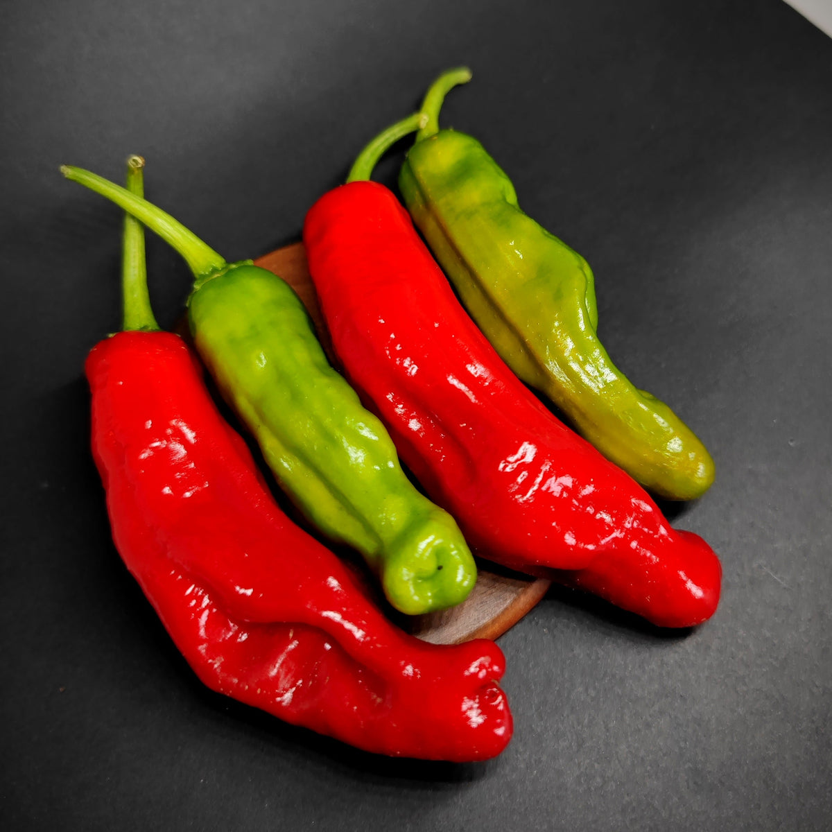 Four chili peppers, two red and two green, are arranged on a small wooden square against a dark background, their glossy skins hinting at the mild heat typical of Shishito varieties from PepperMerchant.net.