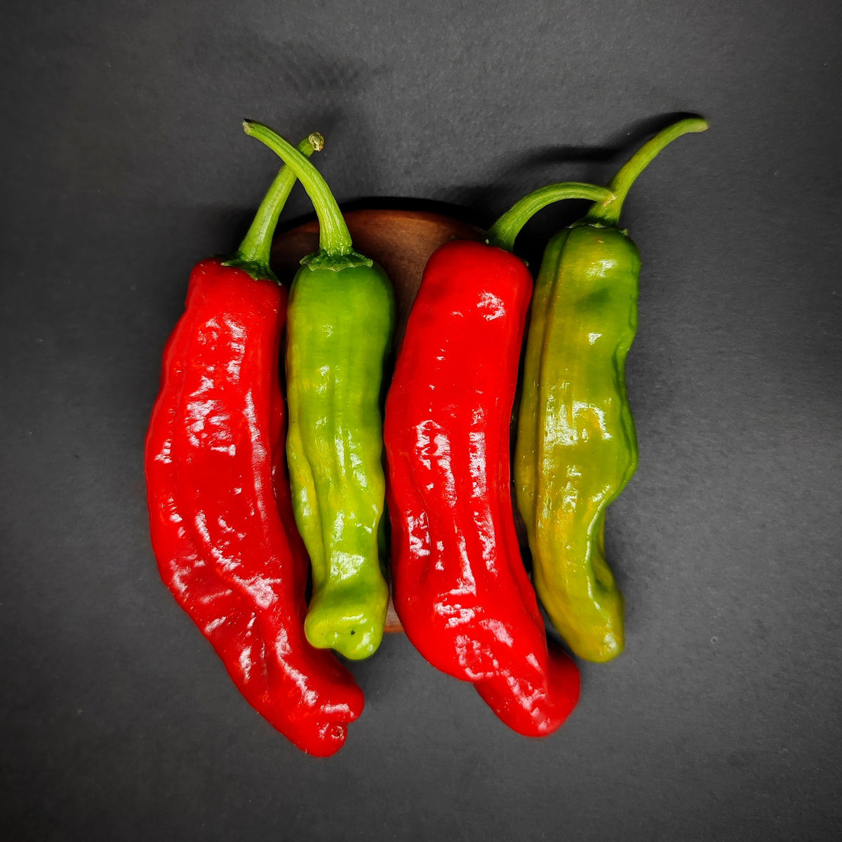 Four Shishito chili peppers from PepperMerchant.net—two red and two green—are arranged side by side on a dark background. Their curved, glossy surfaces highlight the natural texture and shine of this Japanese variety, hinting at the peppers’ mild heat and unique character.