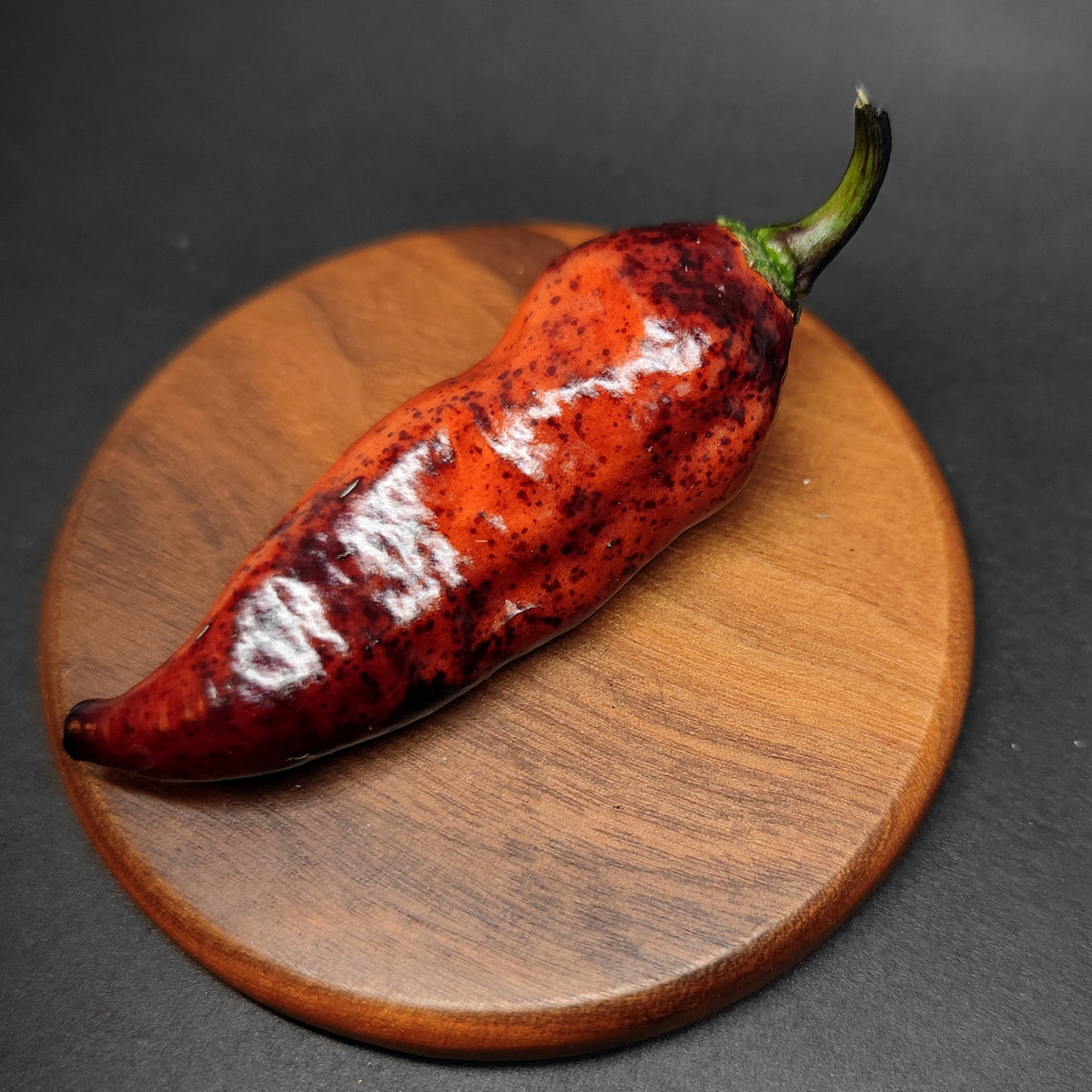 A speckled Dark Ruby pepper on a small wooden coaster.