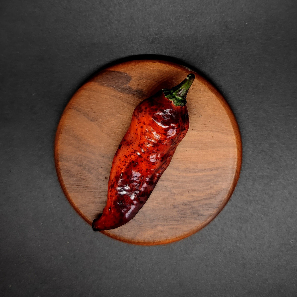 A single Dark Ruby pepper with dark purple spots resting on a small round wooden board.