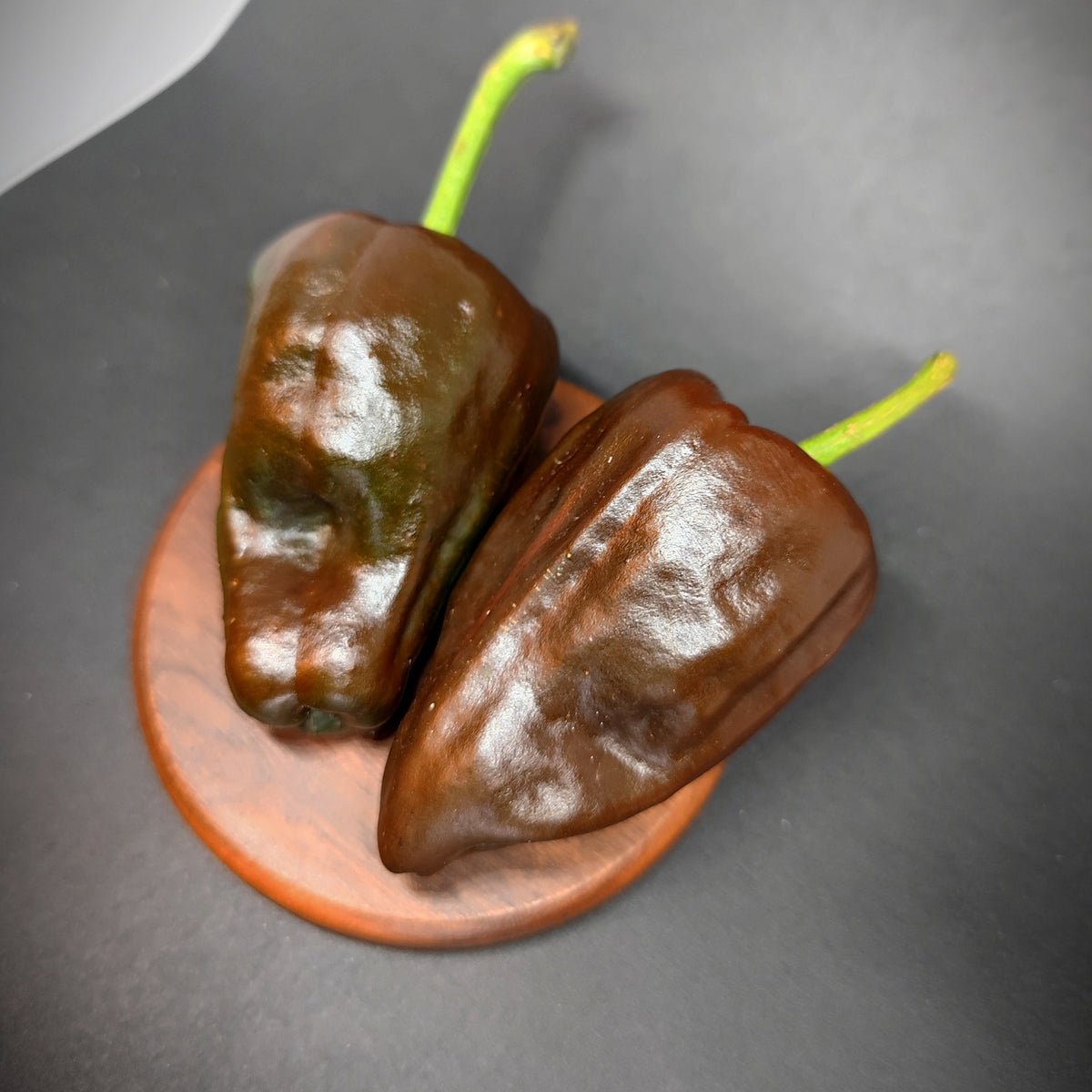 Two dark brown, wrinkled Chilhuacle Negro peppers with green stems resting on a small wooden disc.