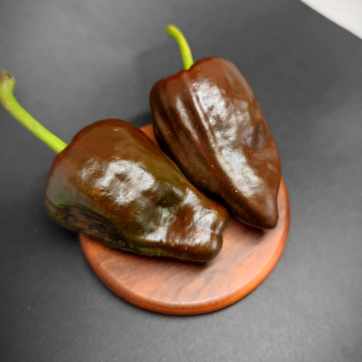 Two glossy, dark brown Chilhuacle Negro peppers with green stems resting on a small wooden disc.