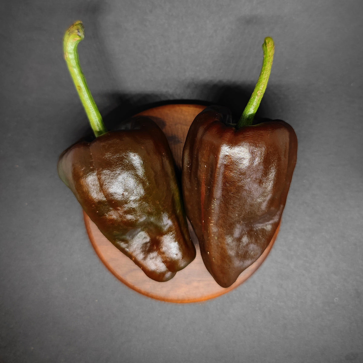Two dark brown, glossy Chilhuacle Negro peppers with green stems resting on a small wooden circular board.