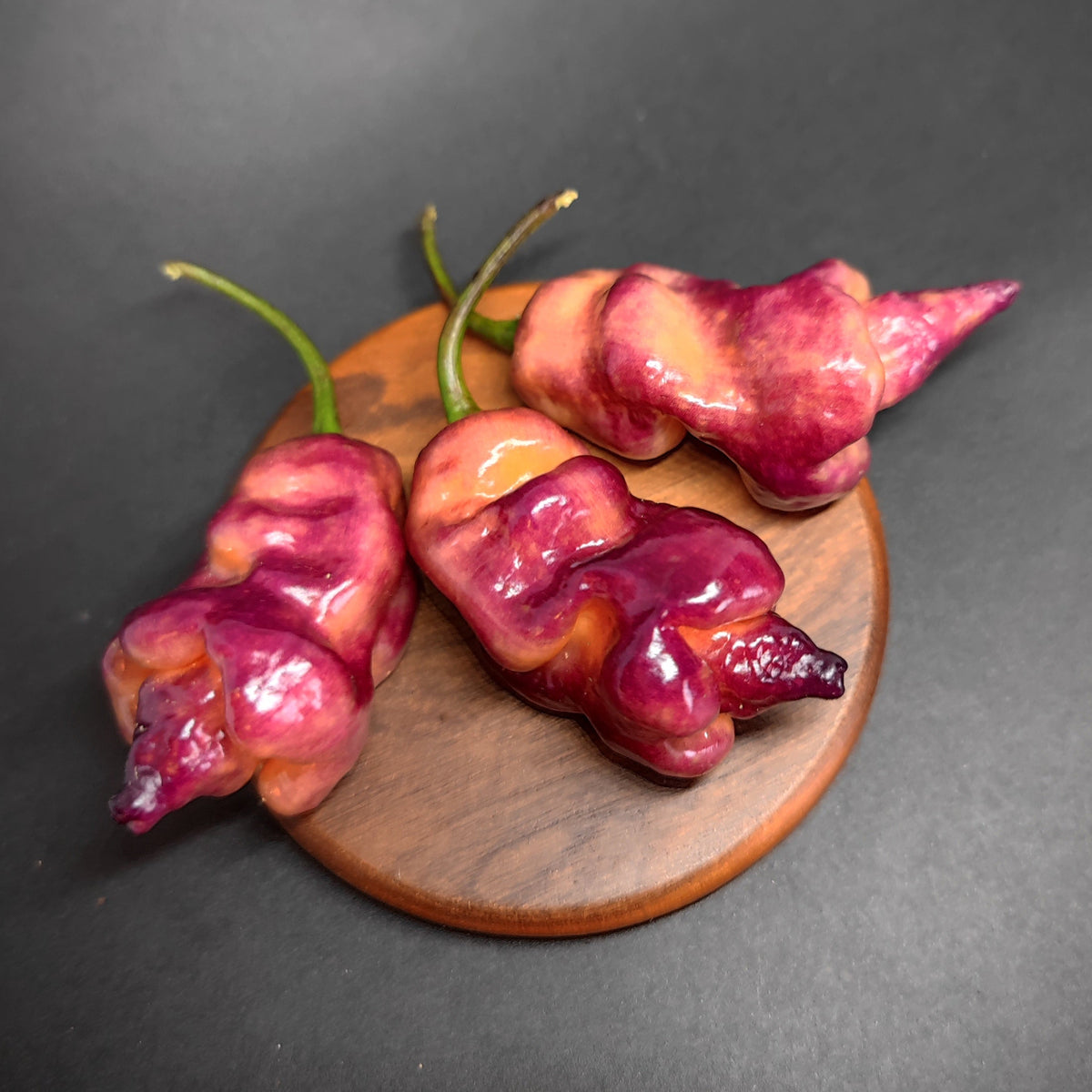 Three vibrant purple and pink Pandemonio Space Chilis from PepperMerchant.net, each with a green stem, rest on a round wooden coaster against a dark background.