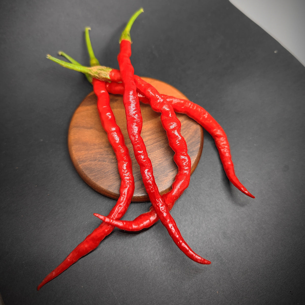 Four long, thin, bright red Himo Togarashi chili peppers from PepperMerchant.net resting on a small wooden coaster.