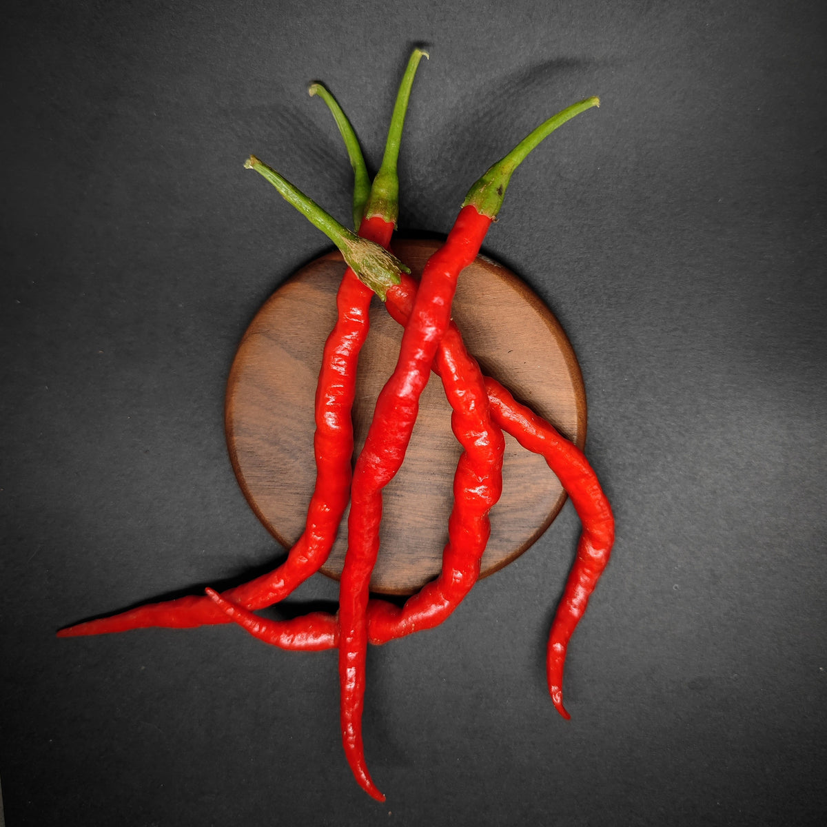 Three long, slender Himo Togarashi red chili peppers resting on a circular wooden coaster against a dark background.