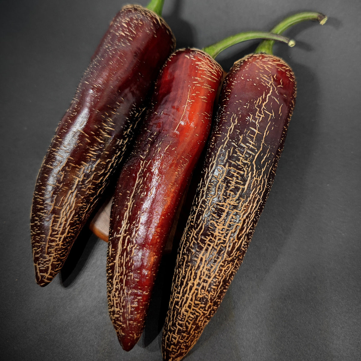 Three dark red, corky-skinned Dream Catcher x Farmer’s Market Jalapeno peppers on a dark background.