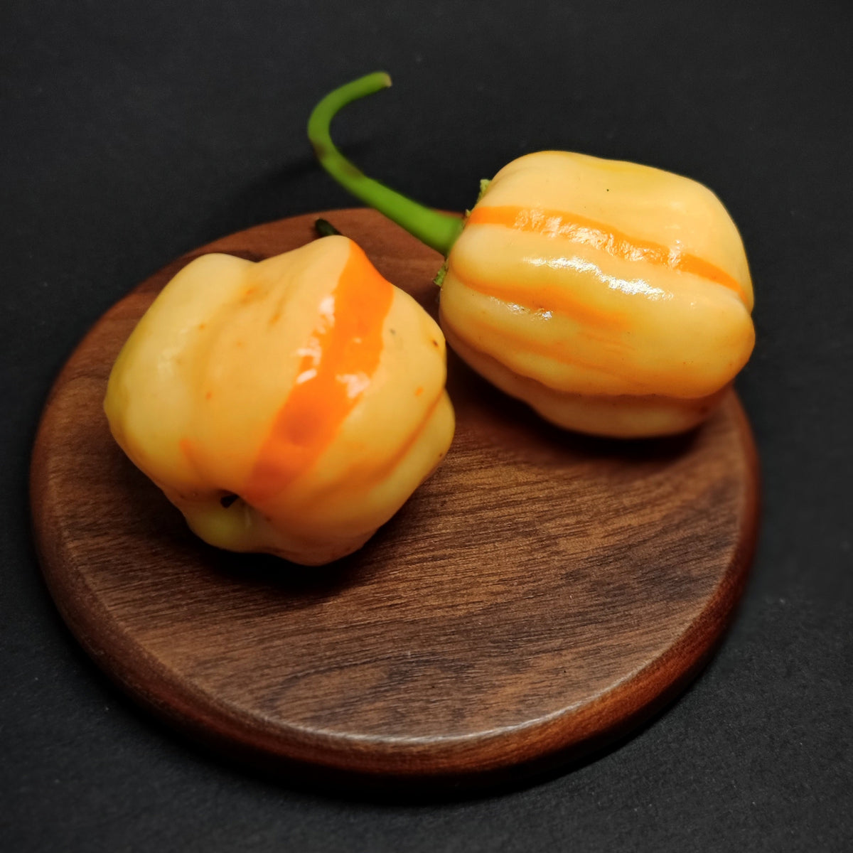 Two pale yellow Peppa Peach Stripey habanero peppers with bright orange vertical stripes sitting on a small wooden coaster.