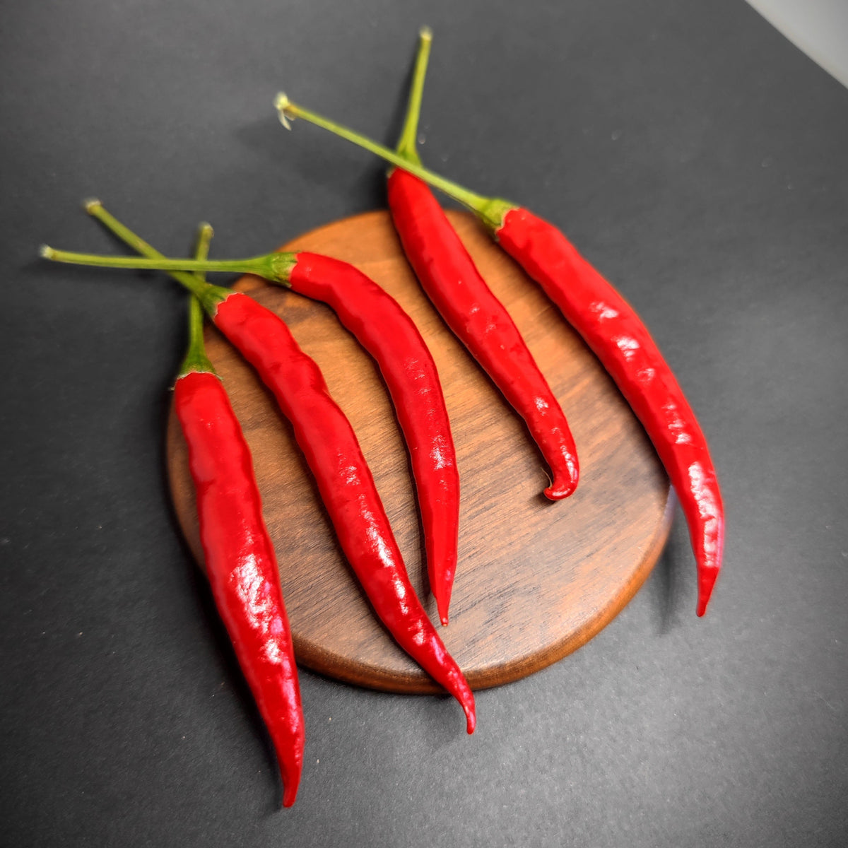 Five bright red Yatsufusa (Yatzy) chili peppers arranged on a small wooden coaster.
