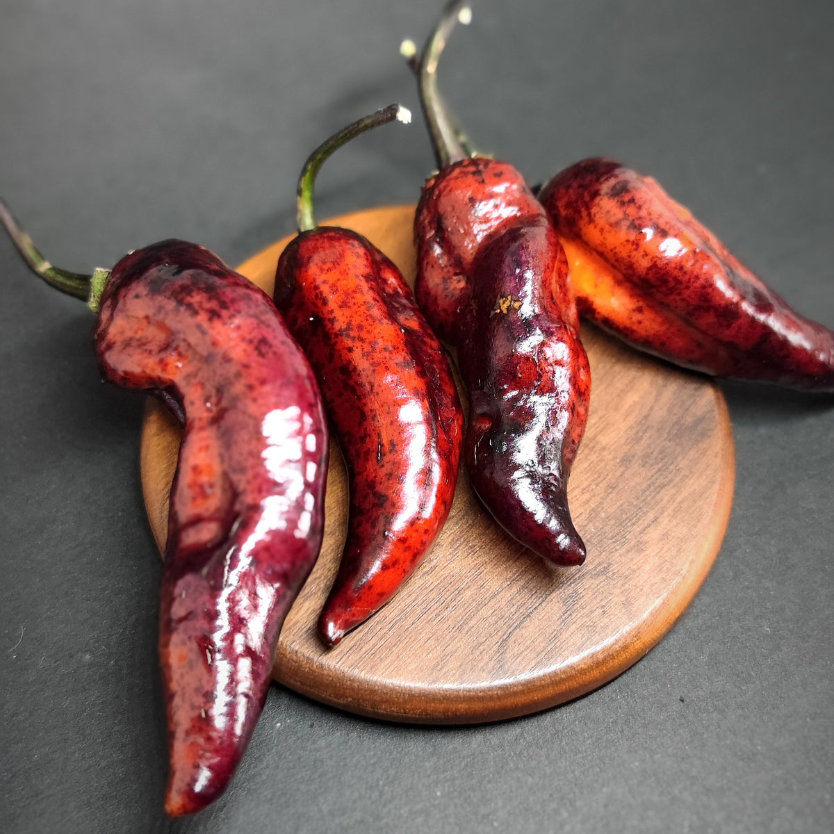 Four Dark Ruby chili peppers in shades of red and purple resting on a small wooden disc.