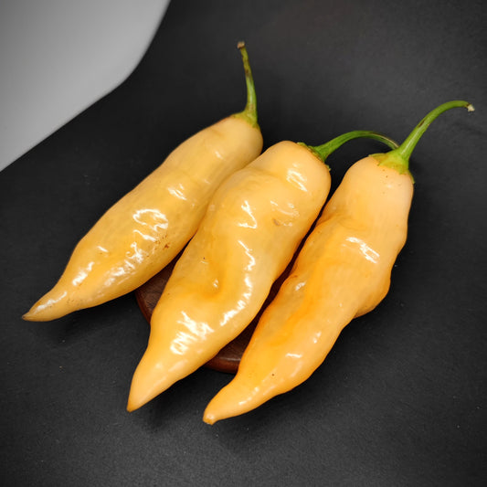Three elongated, pale orange Sugar Rush Peach peppers with green stems arranged on a dark surface.