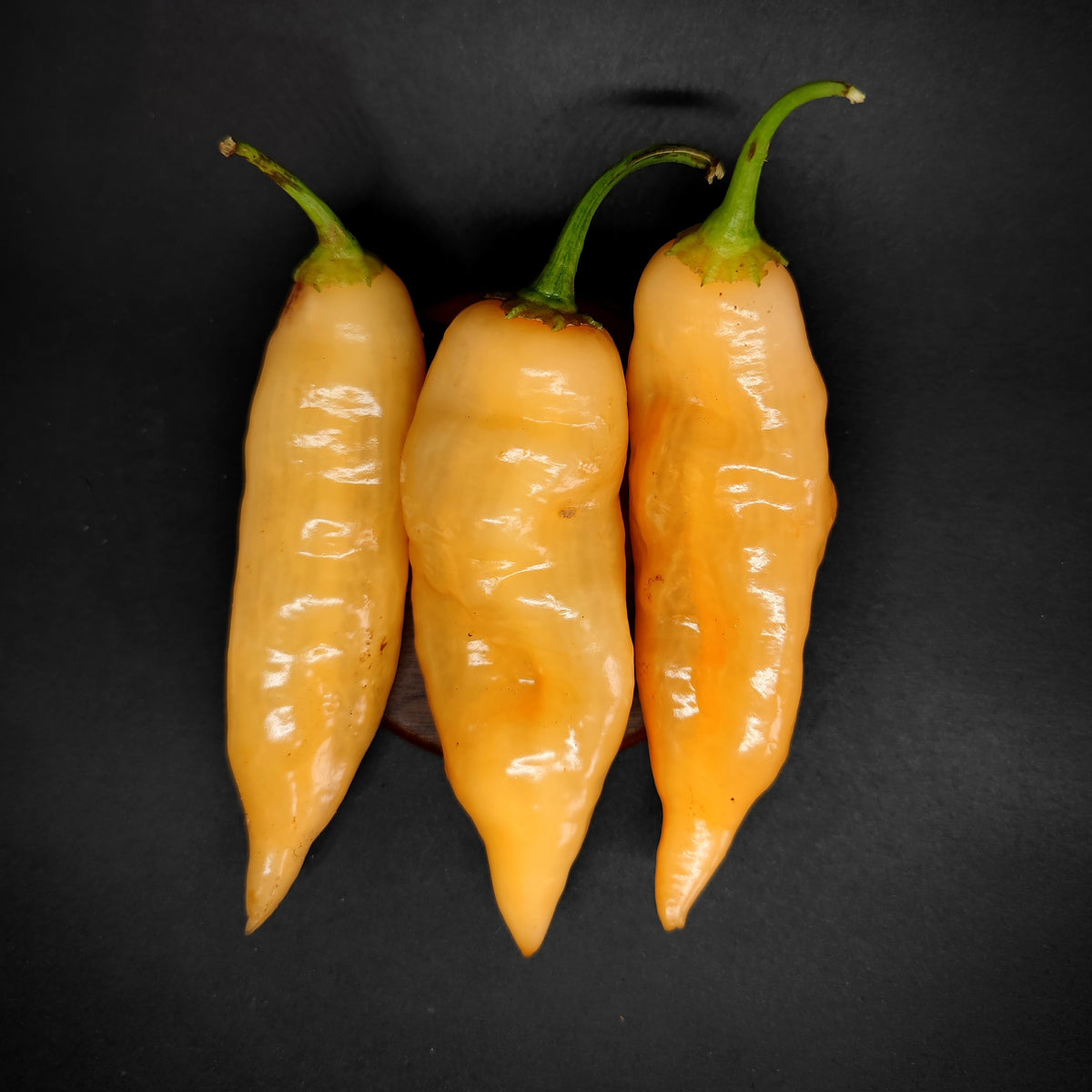 Three pale orange, elongated Sugar Rush Peach chili peppers with green stems arranged side by side.