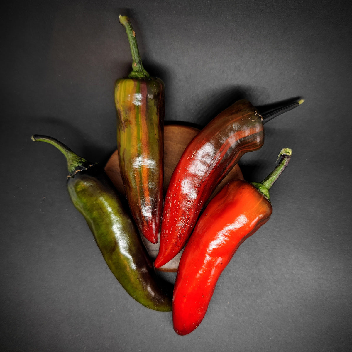 A cluster of four Tiger Jalapeno peppers in varying shades of green, brown, and red.