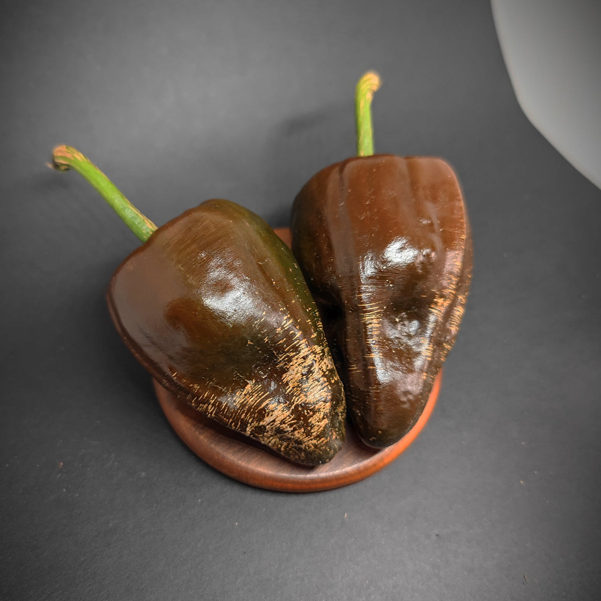 Two dark brown, tapered Chilhuacle Negro peppers with green stems resting on a small wooden coaster.
