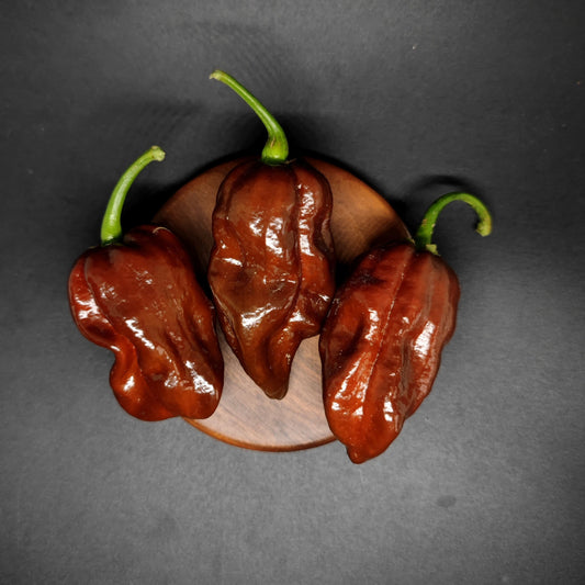 Three dark brown, wrinkled Chocolate Habanero peppers with green stems arranged on a small wooden coaster.