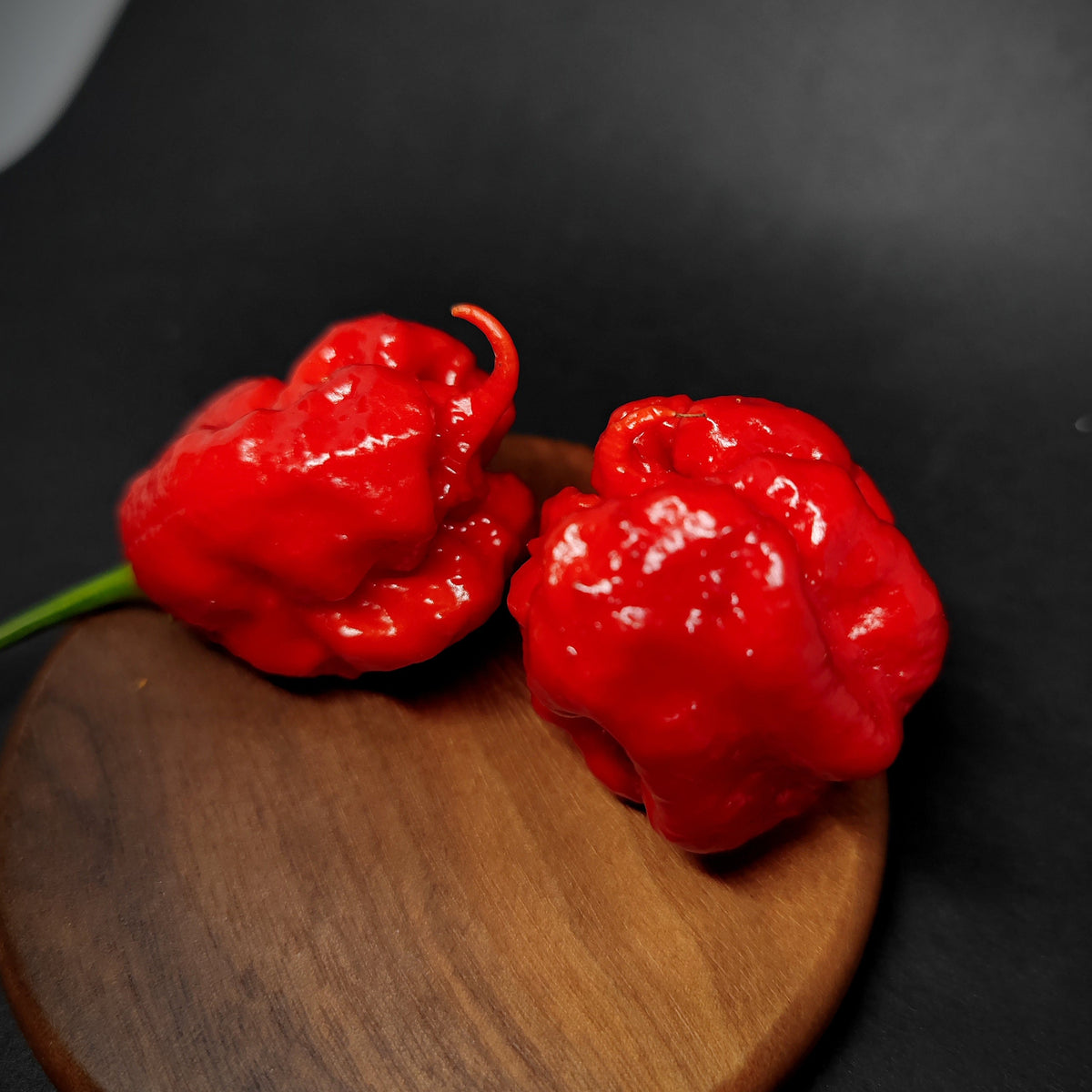 Two bright red, bumpy 7Pot Primo superhot peppers resting on a round wooden coaster.