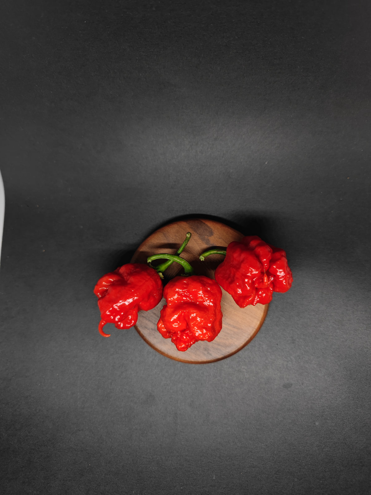 Three bright red, wrinkled 7Pot Primo peppers resting on a small wooden coaster.