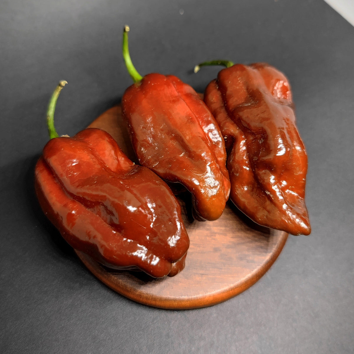 Three wrinkled Chocolate Habanero peppers on a small wooden coaster.