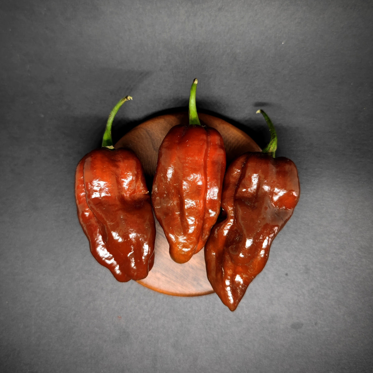 Three dark brown Chocolate Habanero peppers on a small wooden coaster.