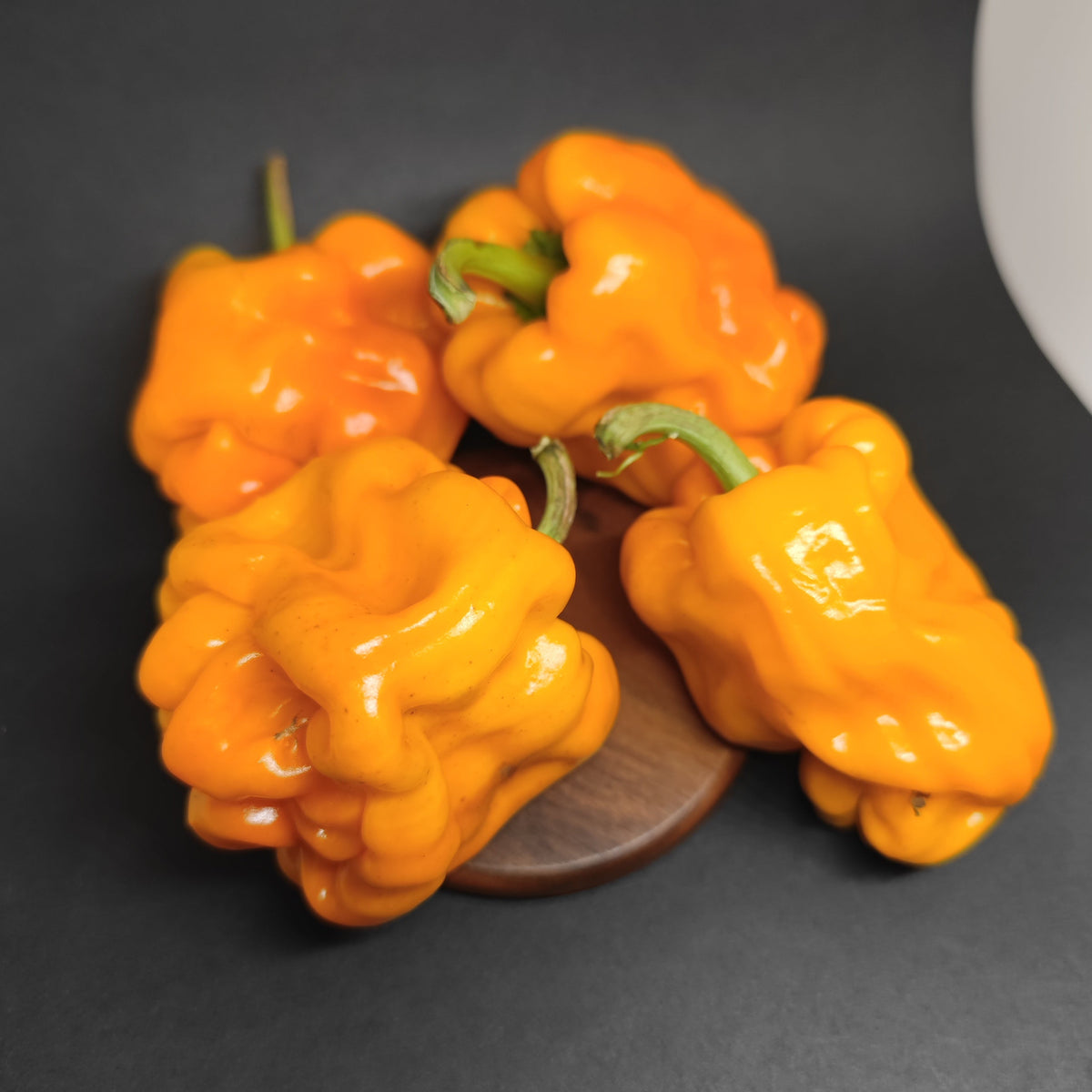 Four bright orange, bumpy Dragons Toe peppers arranged on a small circular wooden base.