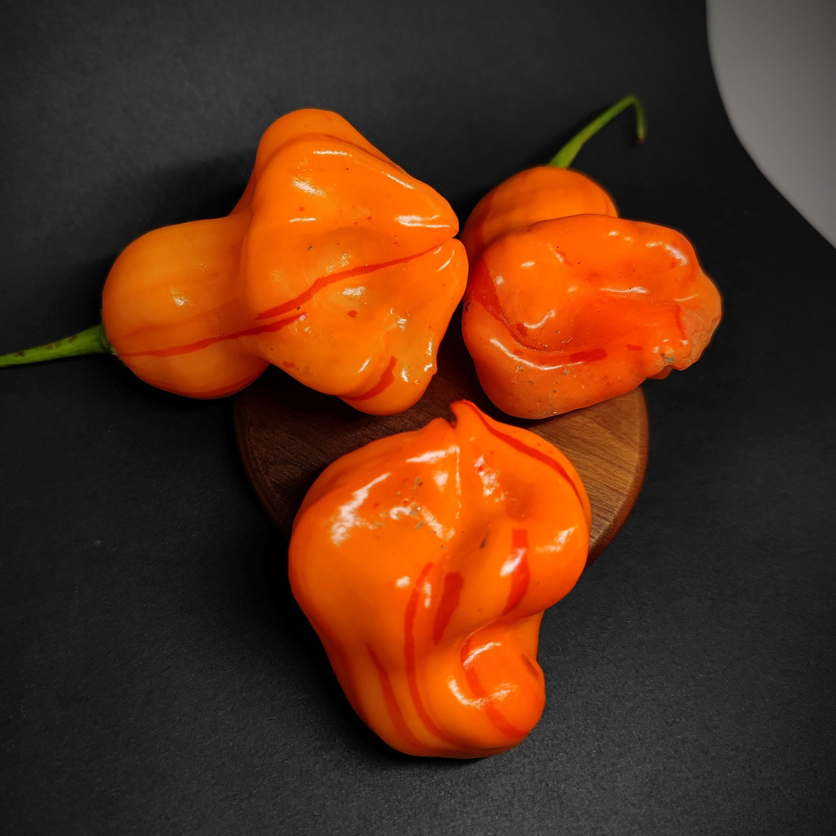 Three vibrant Zebrange striped peppers with subtle red and orange coloring resting on a small wooden disc.