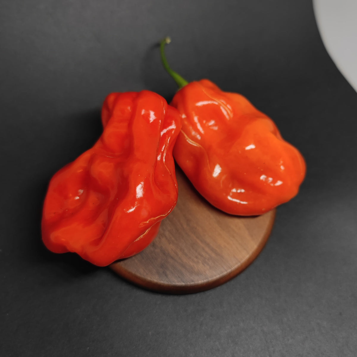 Two bright orange, wrinkled Giant Habanero peppers on a small wooden disc.