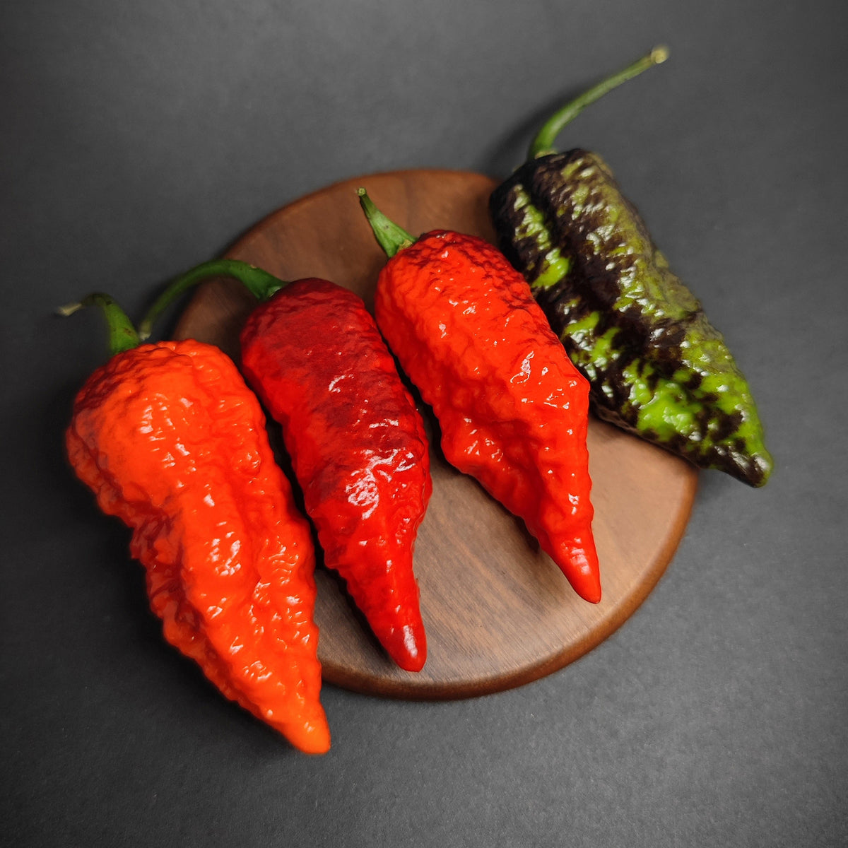 Four PM 541 - Dragons Breath Cross Dark Foliage peppers in shades of orange, red, and dark green on a wooden board.