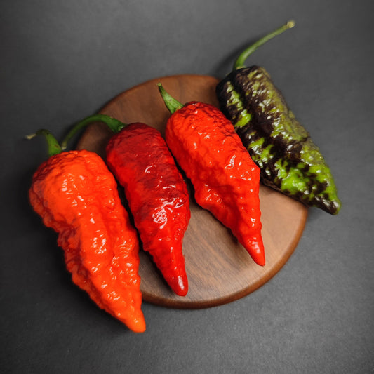 Four PM 541 - Dragons Breath Cross Dark Foliage peppers in shades of orange, red, and dark green on a wooden board.