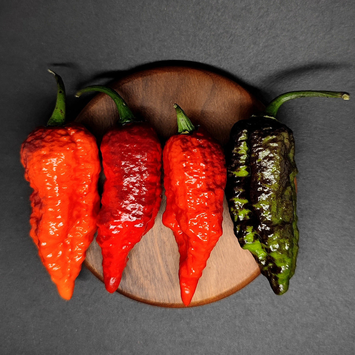 Four bumpy, elongated PM 541 - Dragons Breath Cross Dark Foliage peppers in shades of red and dark green arranged on a small wooden board.