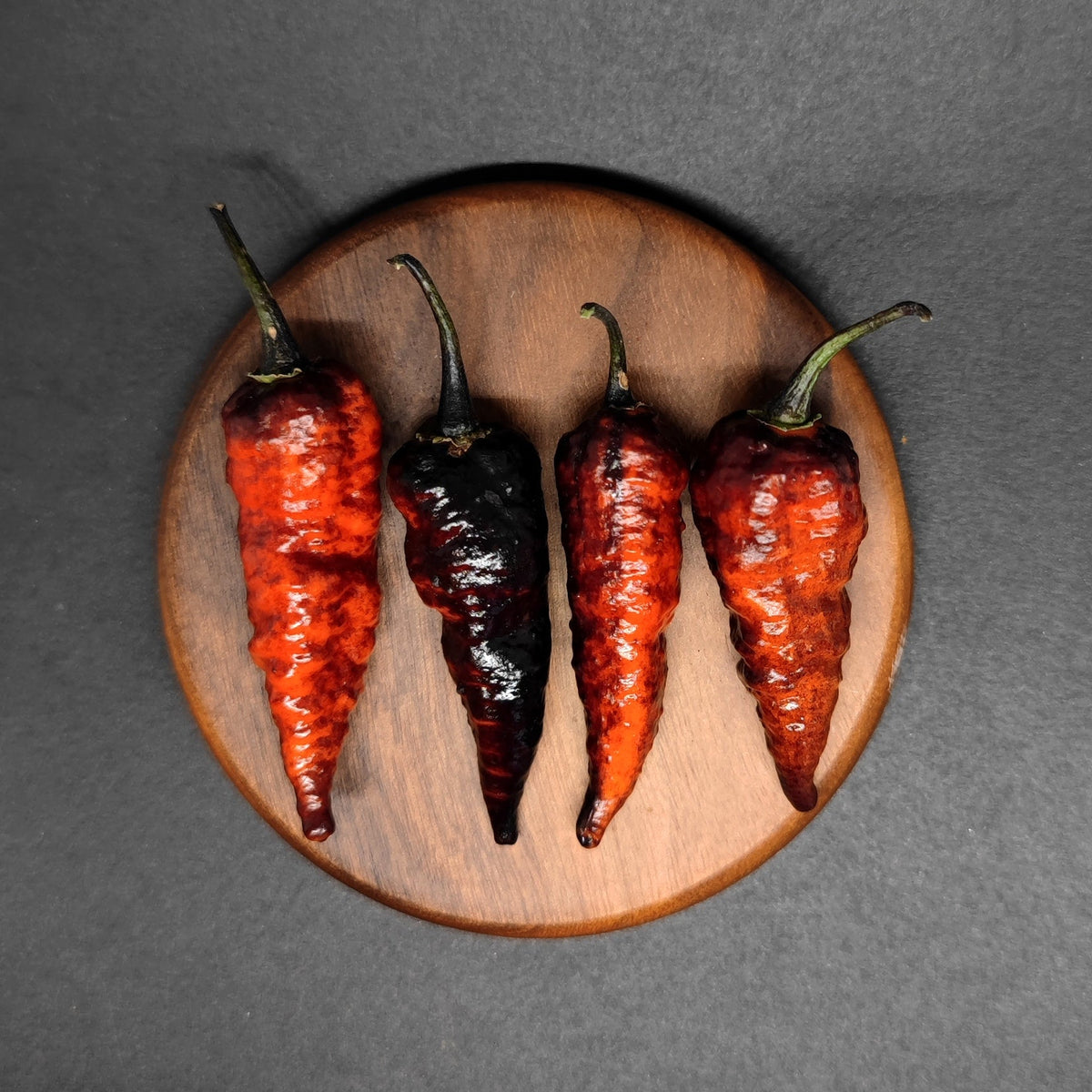 Four fresh Naga Twister peppers with wrinkled, gradient-colored skins ranging from bright red to dark purple, resting on a round wooden board used for spicy condiments.