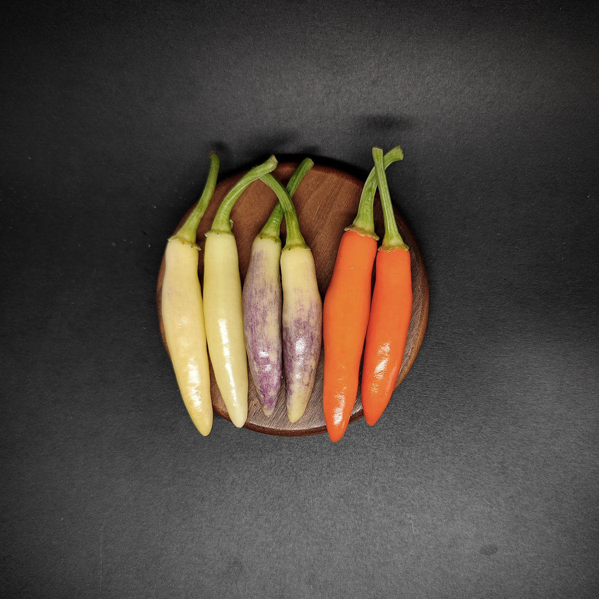 Five KS White Thai chili peppers ranging in color from pale yellow to purple and bright orange, arranged side-by-side on a small wooden coaster.