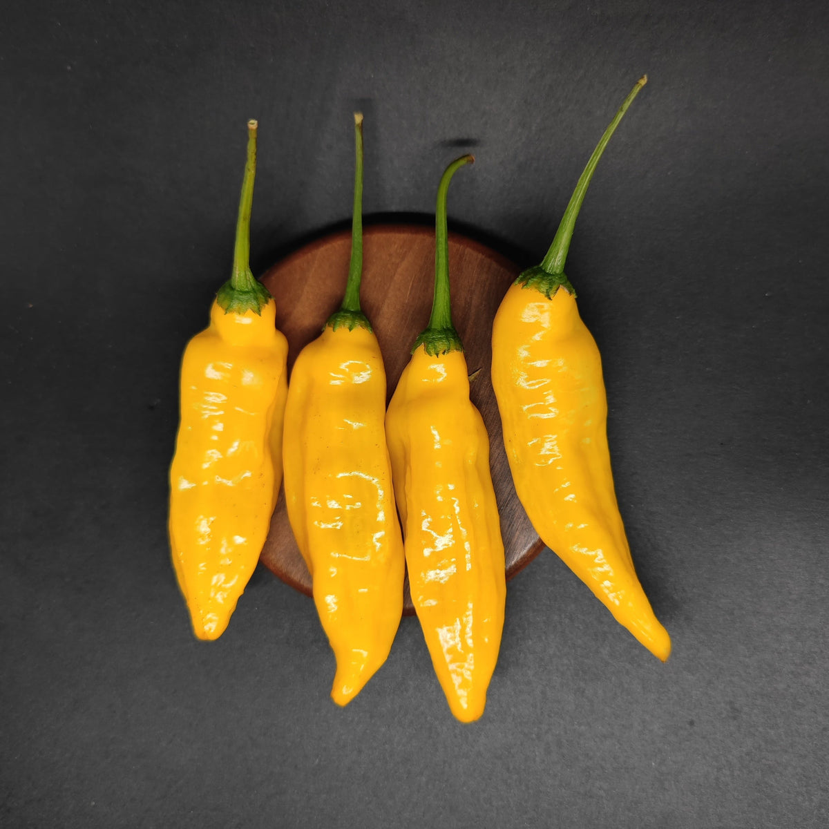 Four bright yellow Aji Limon (Lemon Drop) peppers with green stems arranged on a small wooden coaster.