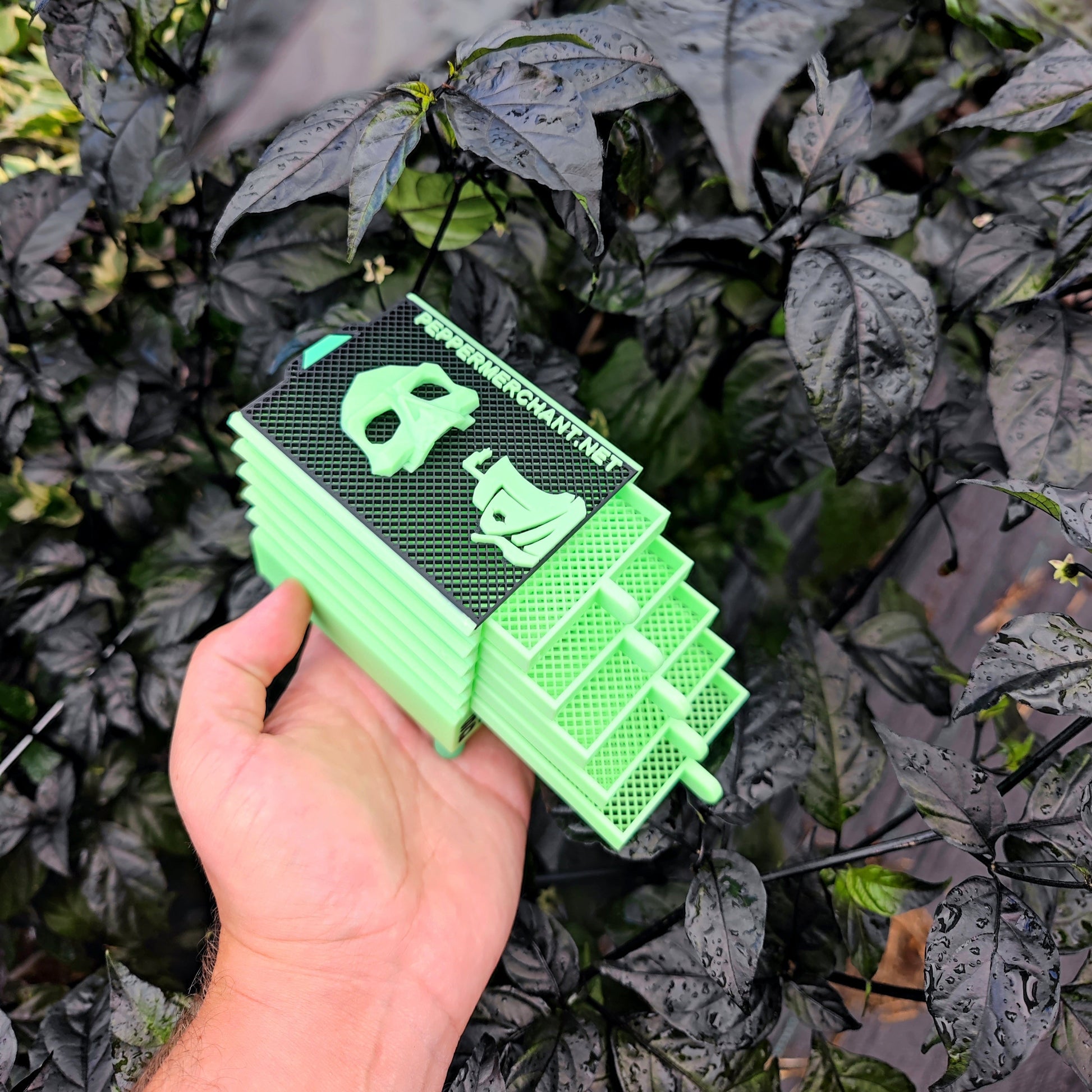 A hand holds the Seed Dryer - Limited Glowing Edition by PepperMerchant.net, a green rectangular USB-powered device with a black top, stylized graphics, and text, set against dark glossy leaves.