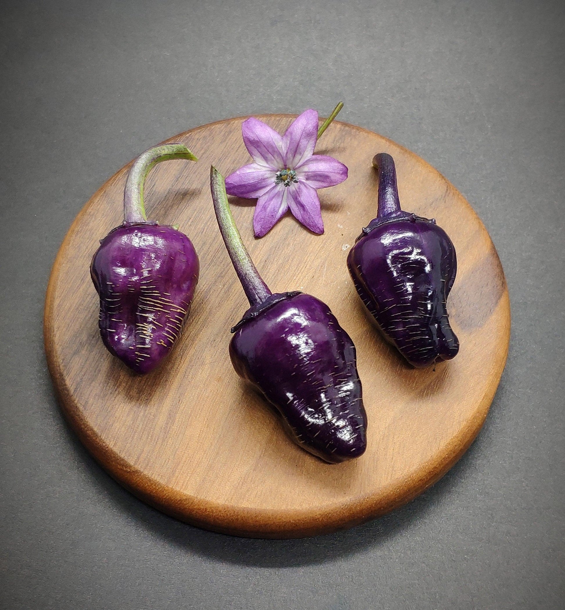 Three Black Scorpion Tongue peppers from PepperMerchant.net, each with dark purple skin and green stems, are displayed on a round wooden board, showcasing their intense spiciness. A purple flower with a yellow center is placed above the peppers, highlighting their complex flavor profile. The background is a dark grey surface.