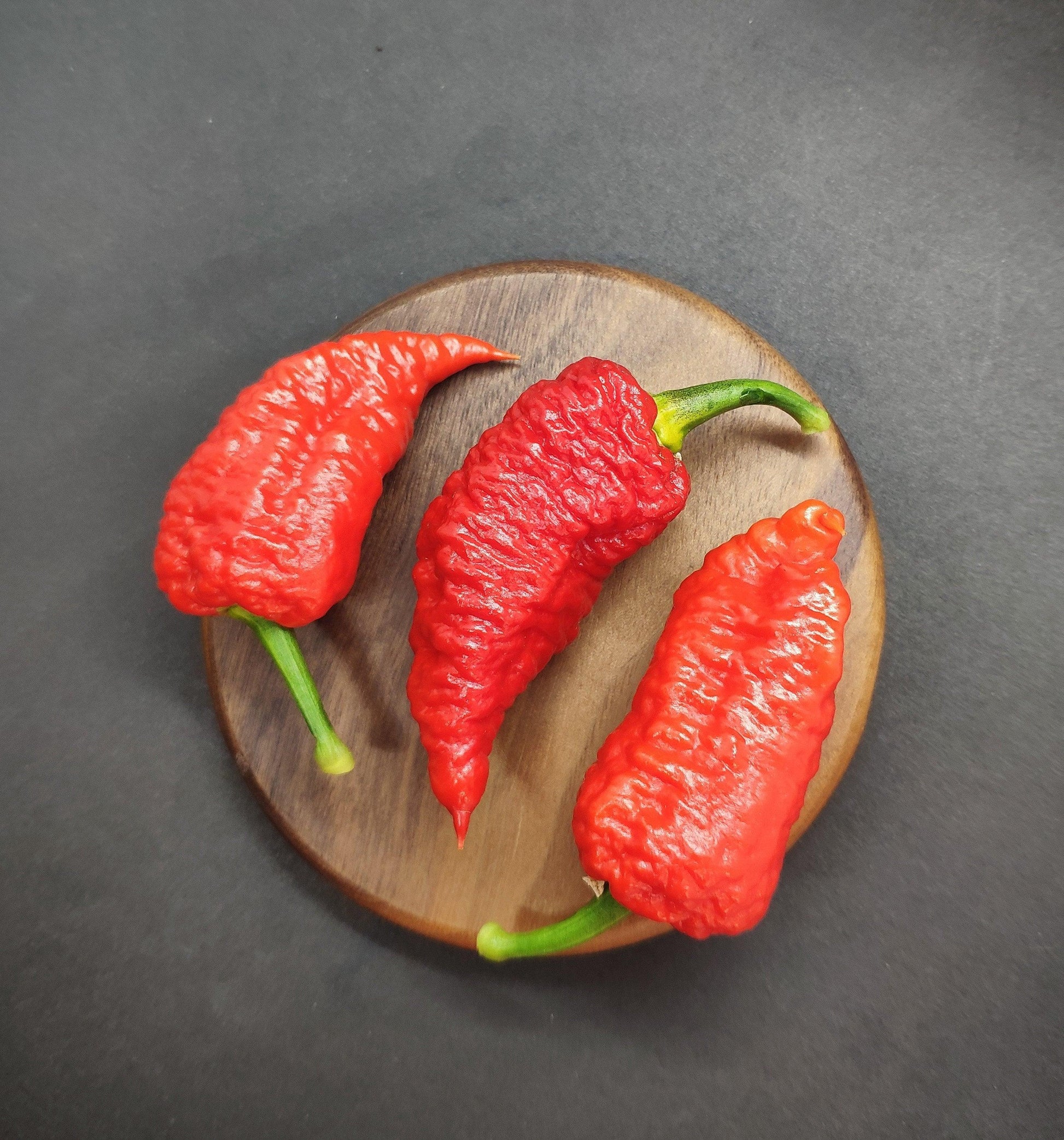 Three vivid red Devils Brain chili peppers with textured skin and green stems are arranged on a round wooden board, placed on a dark surface. These fiery chilies, offered by PepperMerchant.net, are renowned for their intense heat and complex flavor profile, making even the bravest taste testers think twice.